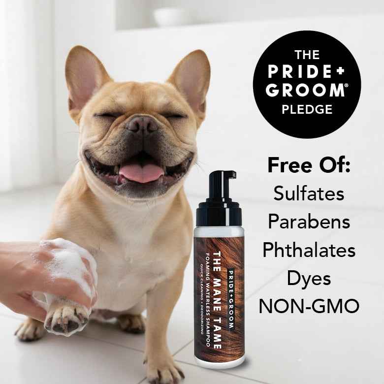 PRIDE+GROOM Mid Groom Dog Grooming Kit