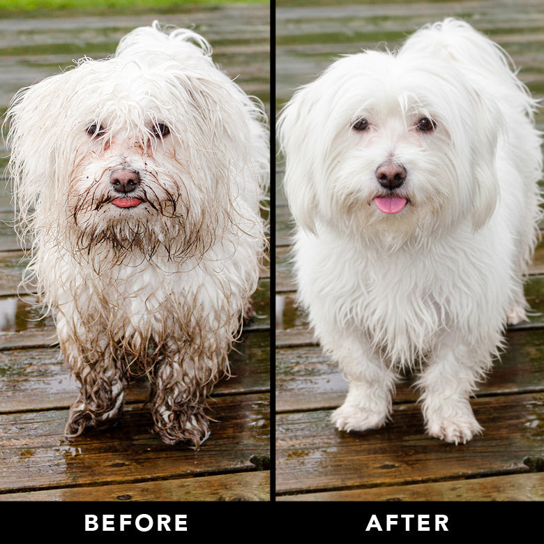 THE NON SHEDDER | HT Animal Supply