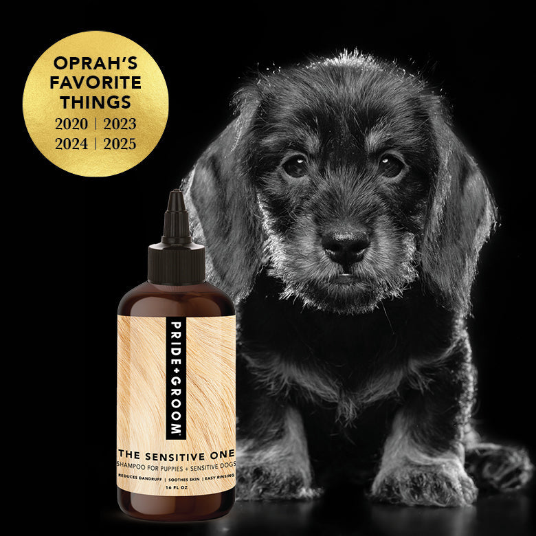 THE SENSITIVE ONE | HT Animal Supply