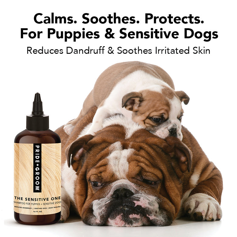THE SENSITIVE ONE | HT Animal Supply