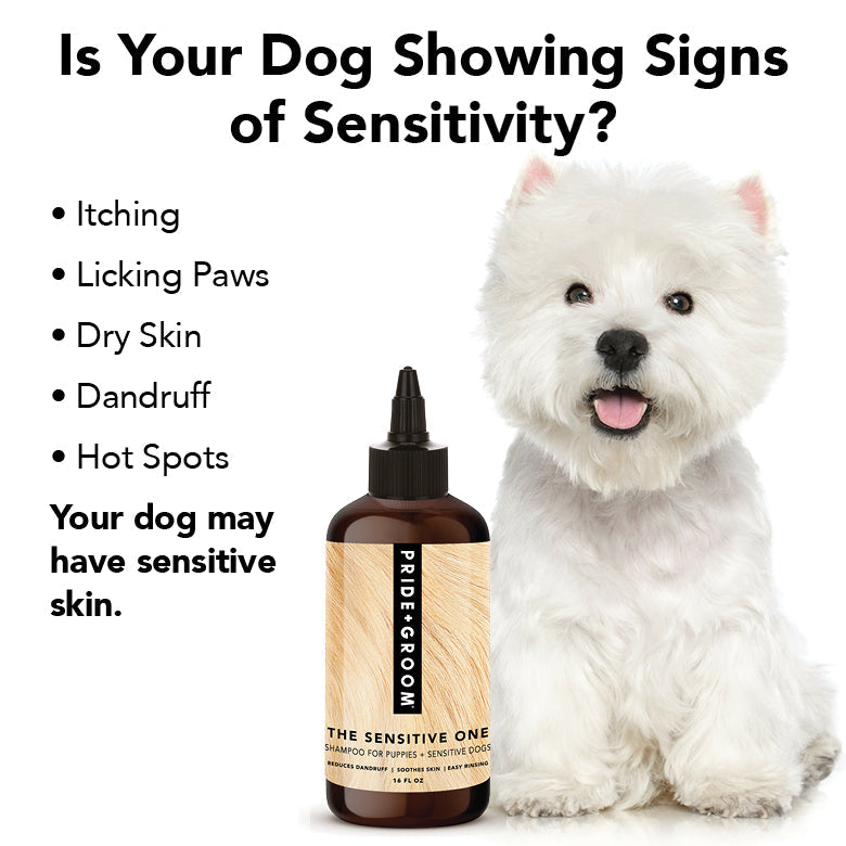 THE SENSITIVE ONE | HT Animal Supply
