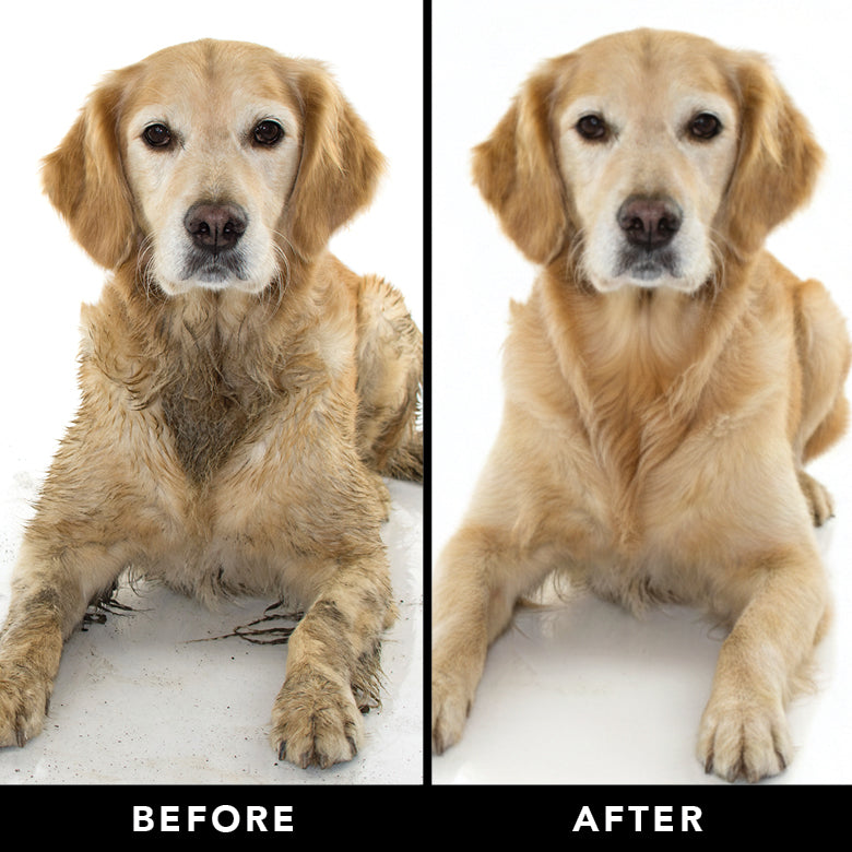 THE SENSITIVE ONE | HT Animal Supply