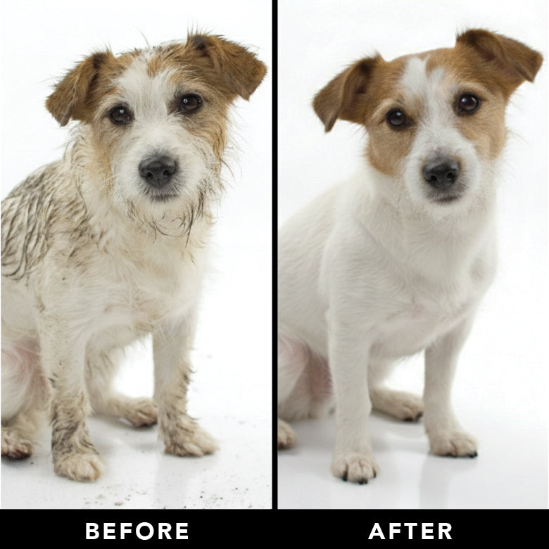 THE SHEDDER | HT Animal Supply