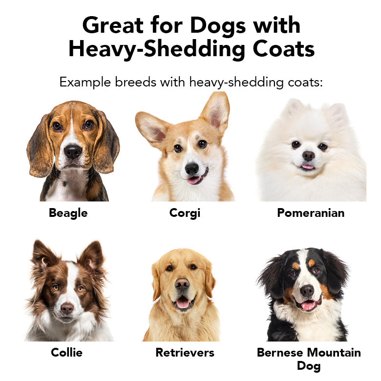 THE SHEDDER | HT Animal Supply