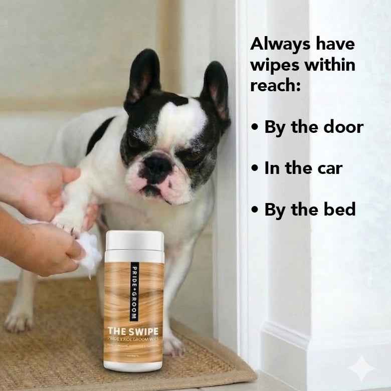 PRIDE+GROOM Mid Groom Dog Grooming Bundle