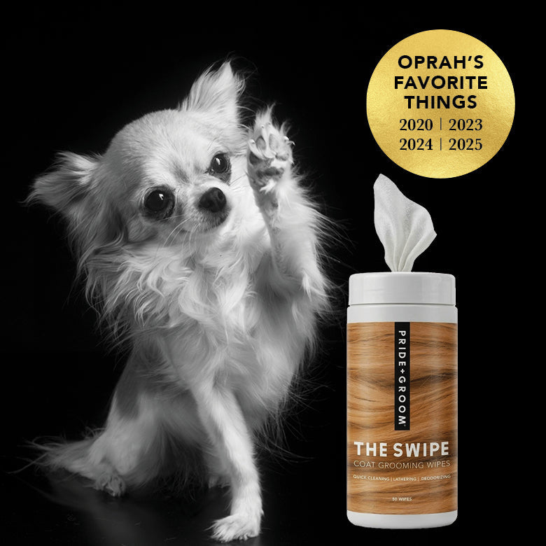 THE SWIPE | HT Animal Supply
