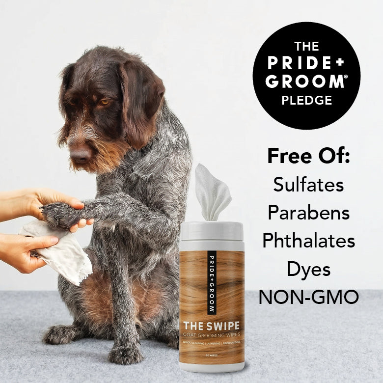 THE SWIPE | HT Animal Supply