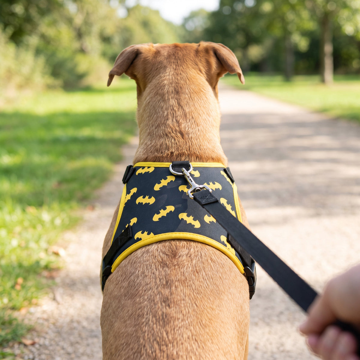 Buckle-Down Batman Bat Signal Scattered Black/Yellow Pet Harness