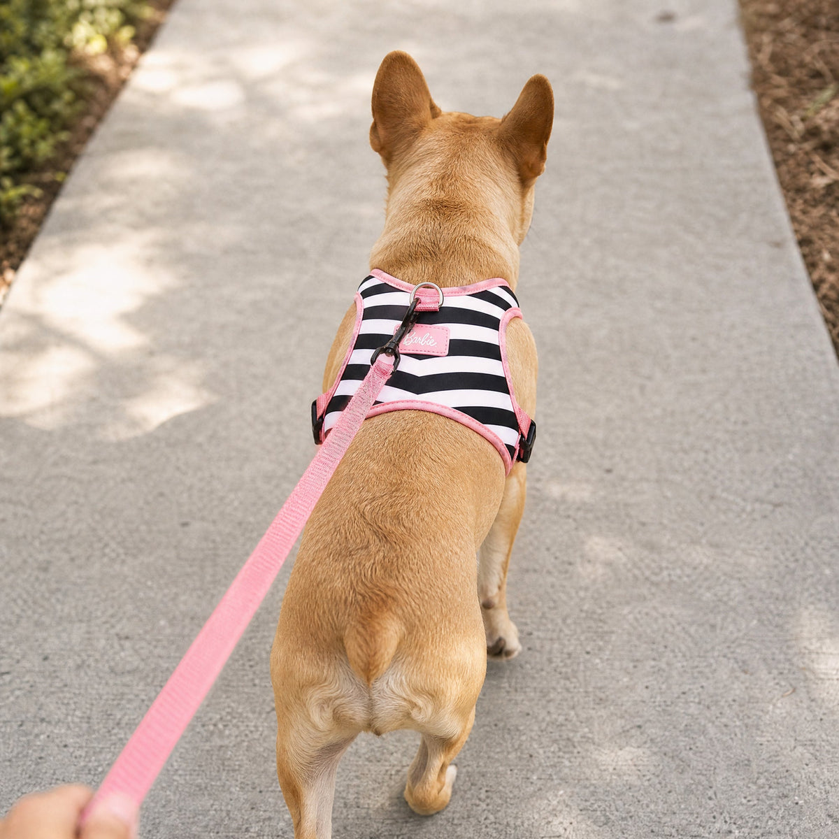 Buckle-Down Barbie Chevron White/Black Pet Harness