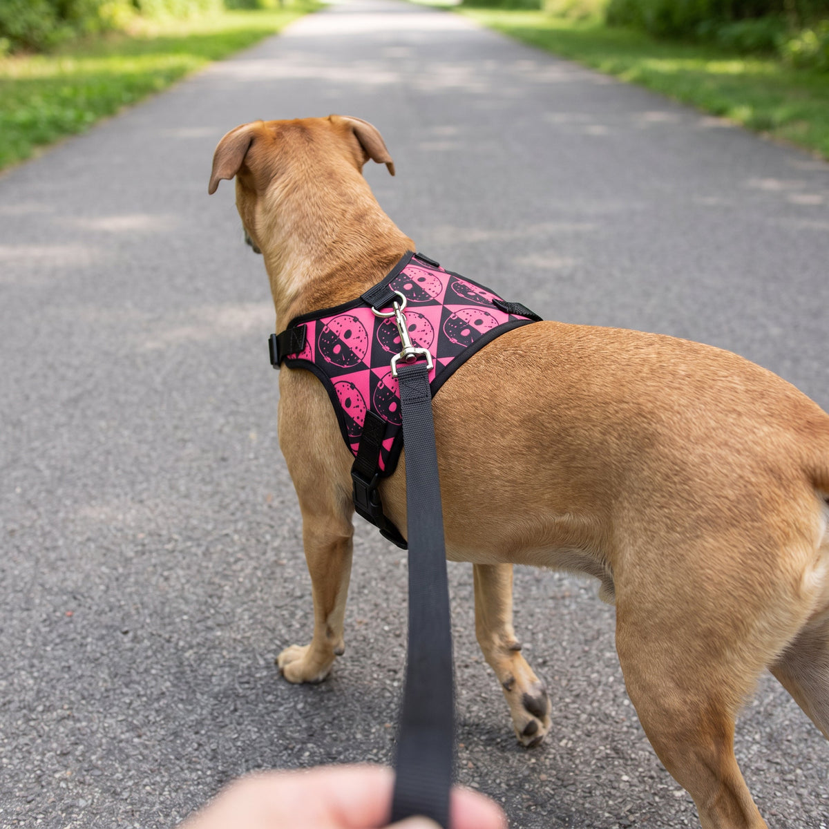 Buckle-Down Friday the 13th Jason Mask Diamond Split Black/Pink Pet Harness