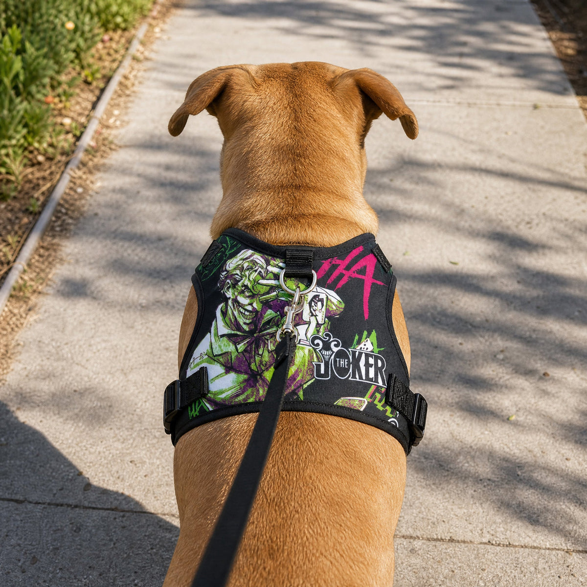 Buckle-Down Joker the Clown Prince of Crime Collage Multi Color Pet Harness