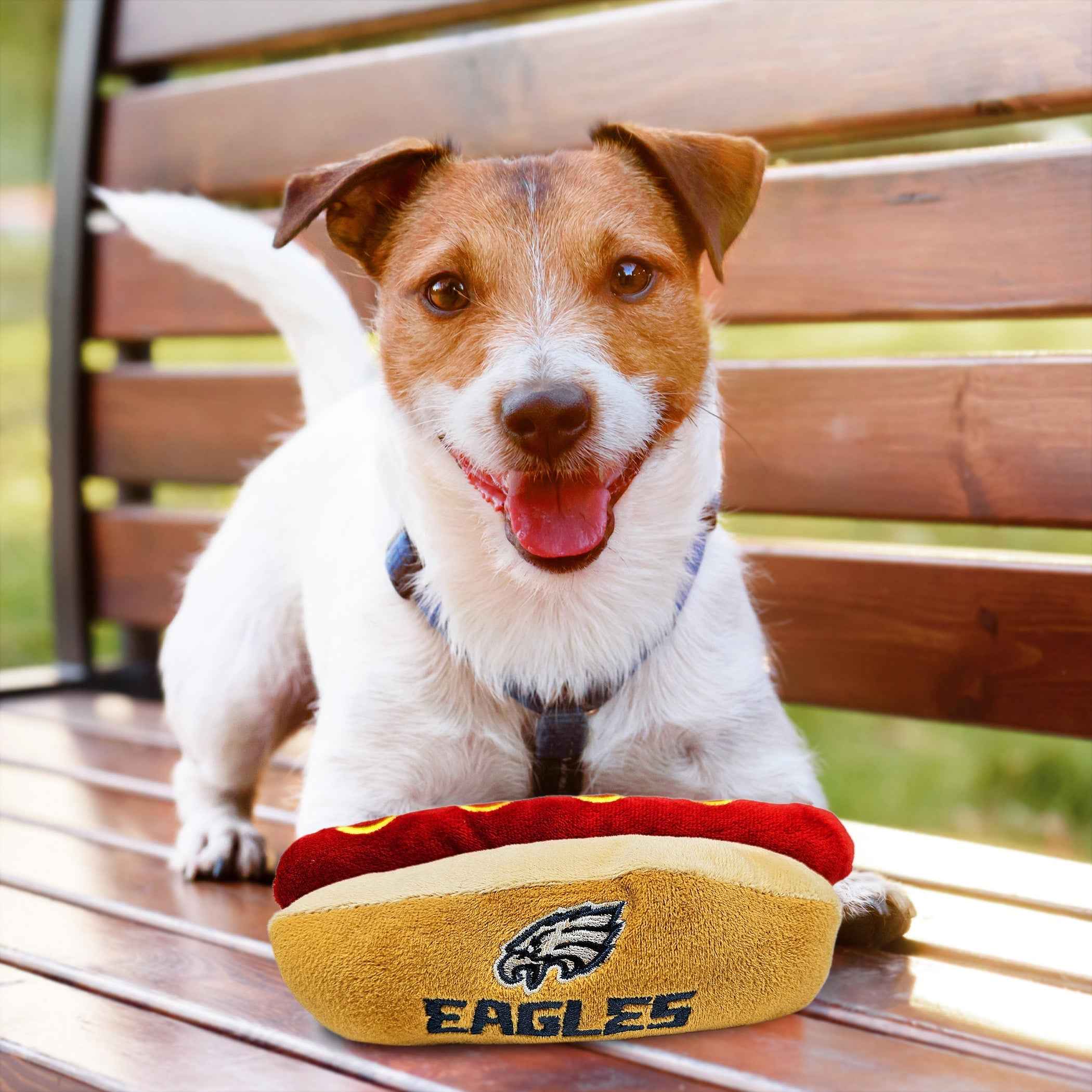 Philadelphia Eagles Hot Dog Toy
