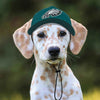NFL Philadelphia Eagles Dog Hat
