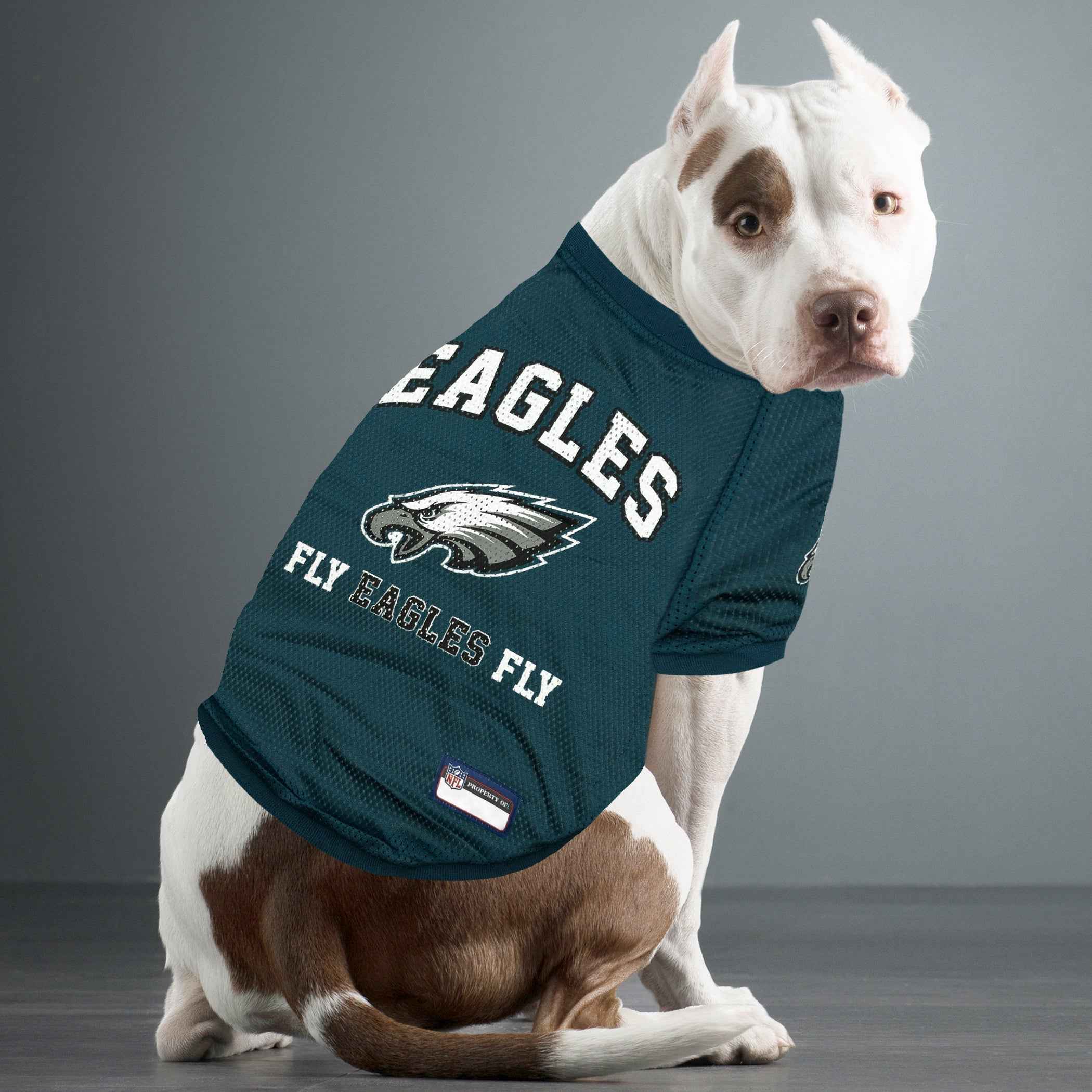 Philadelphia Eagels Raglan Jersey