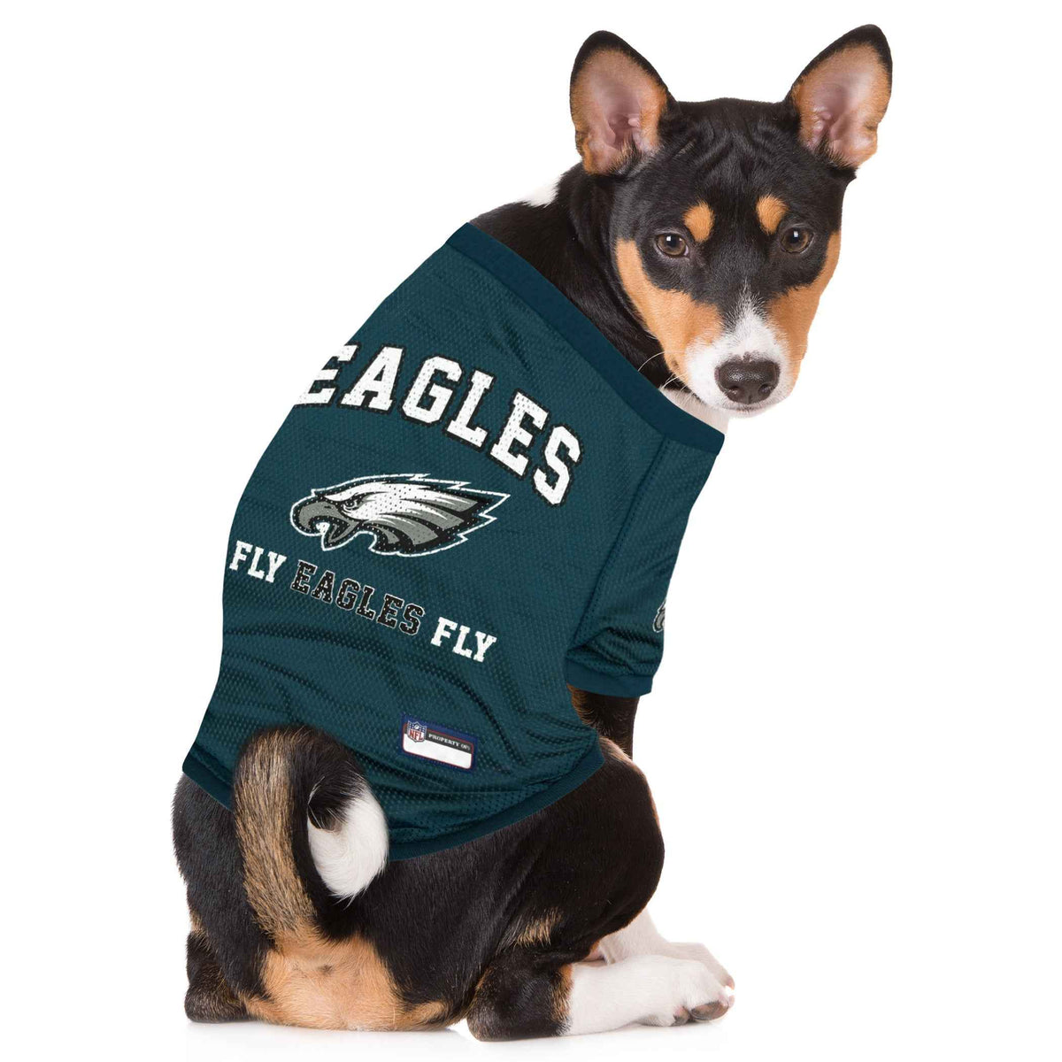 NFL Philadelphia Eagles Raglan Pet Jersey