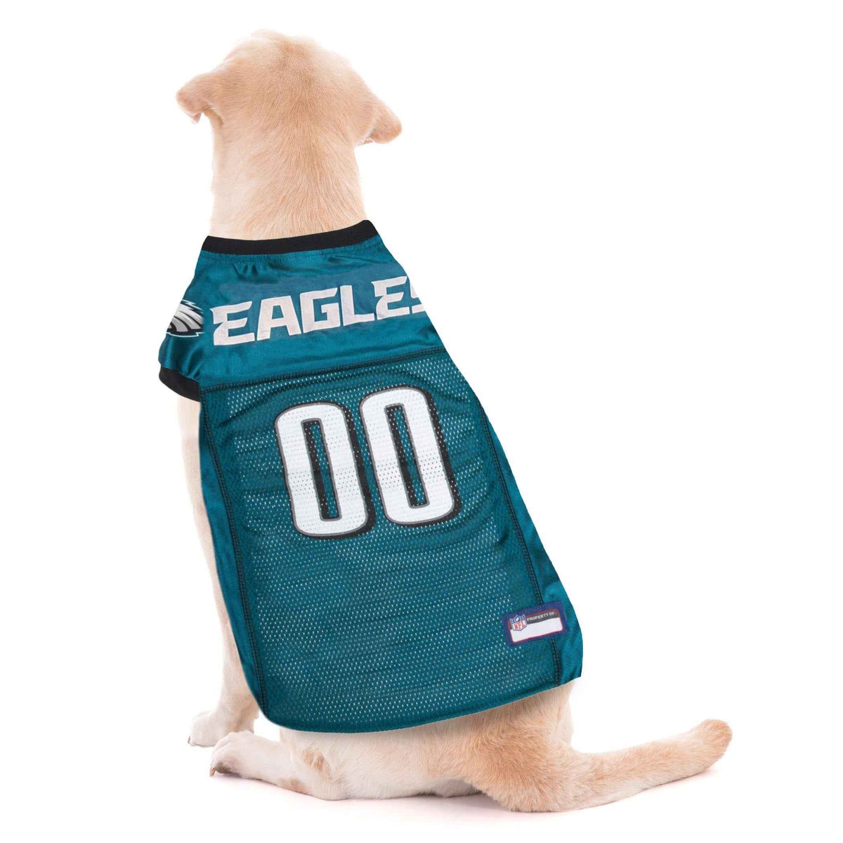 NFL Philadelphia Eagles Striped Mesh Pet Jersey