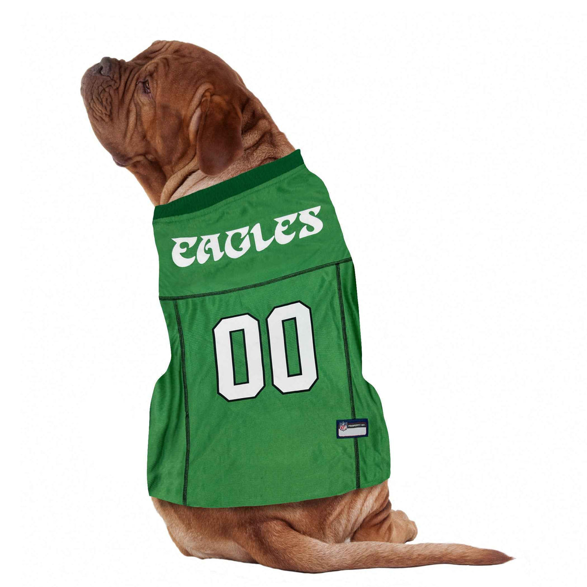Philadelphia Eagles Throwback Jerseys by Pets First