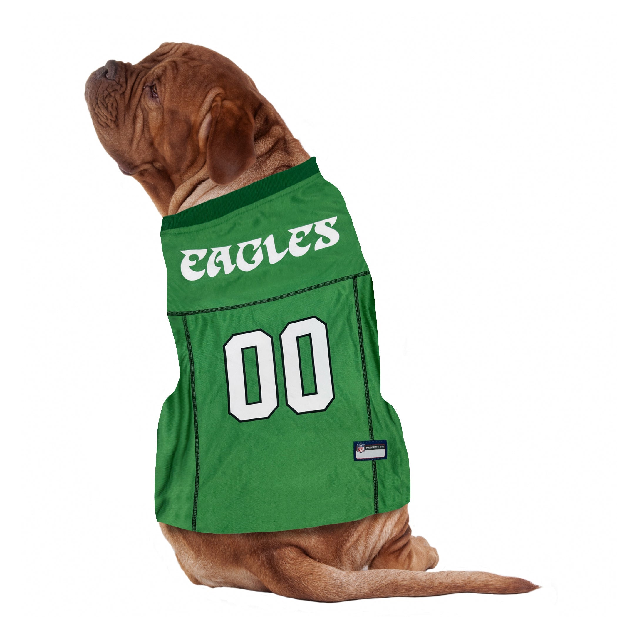 Philadelphia Eagles Throwback Jerseys by Pets First