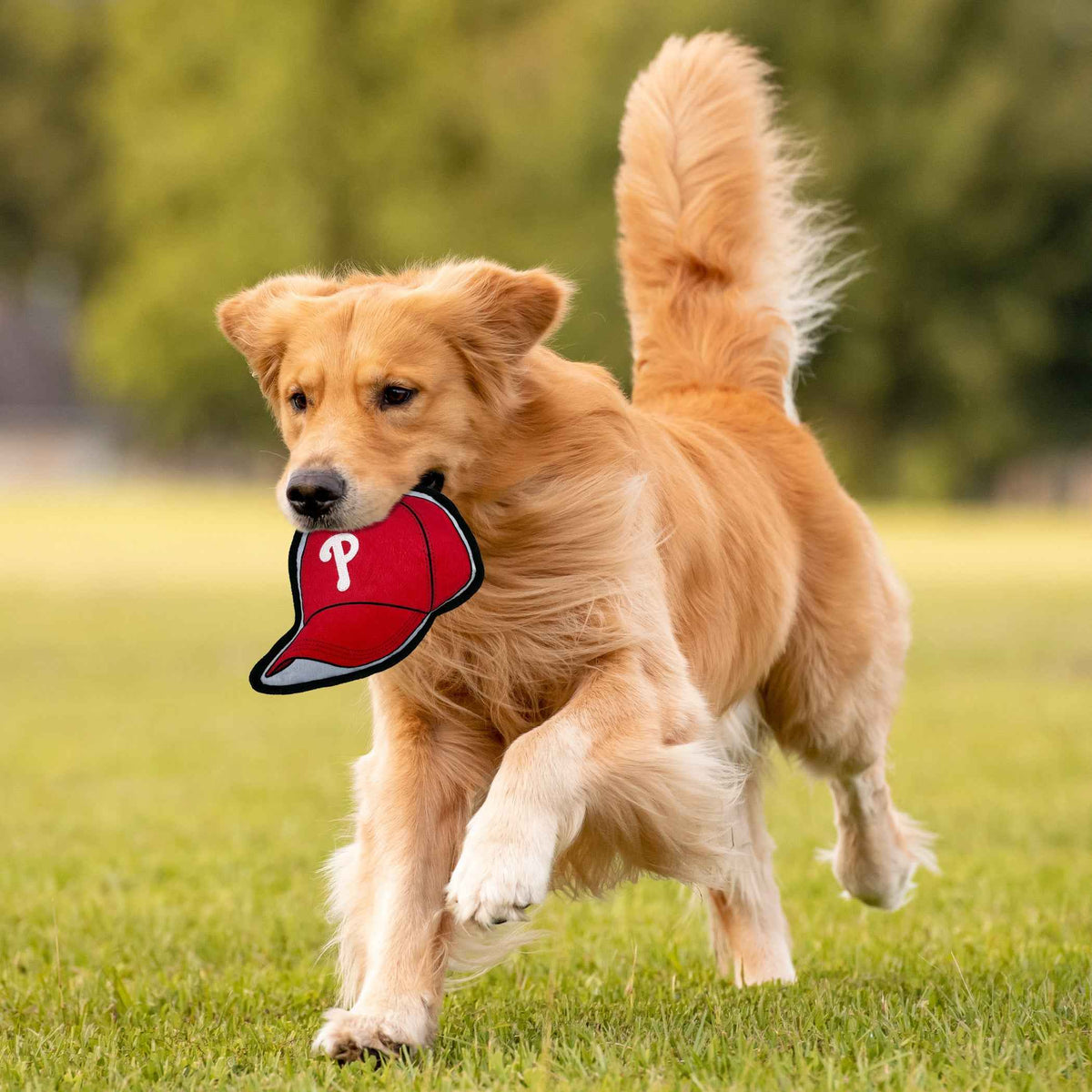 MLB Philadelphia Phillies Baseball Cap Tough Dog Toy — product image 2