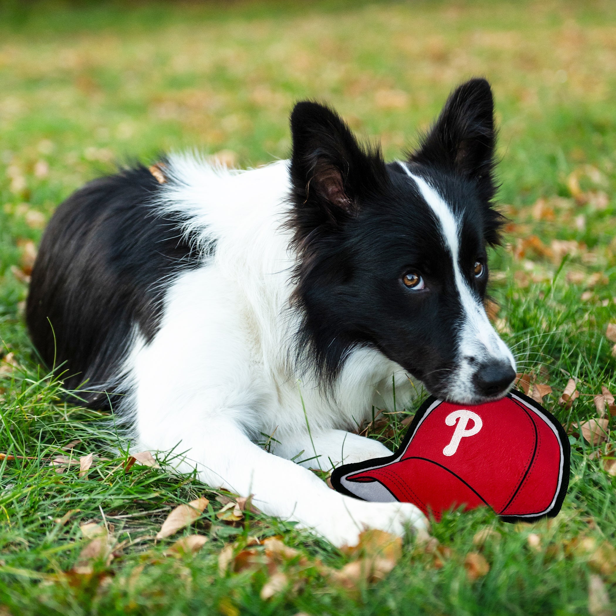 Philadelphia Phillies Baseball Cap Tough Toy