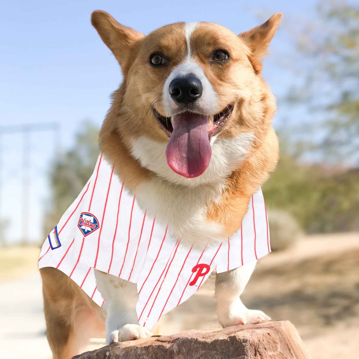 MLB Philadelphia Phillies Mesh Pet Jersey