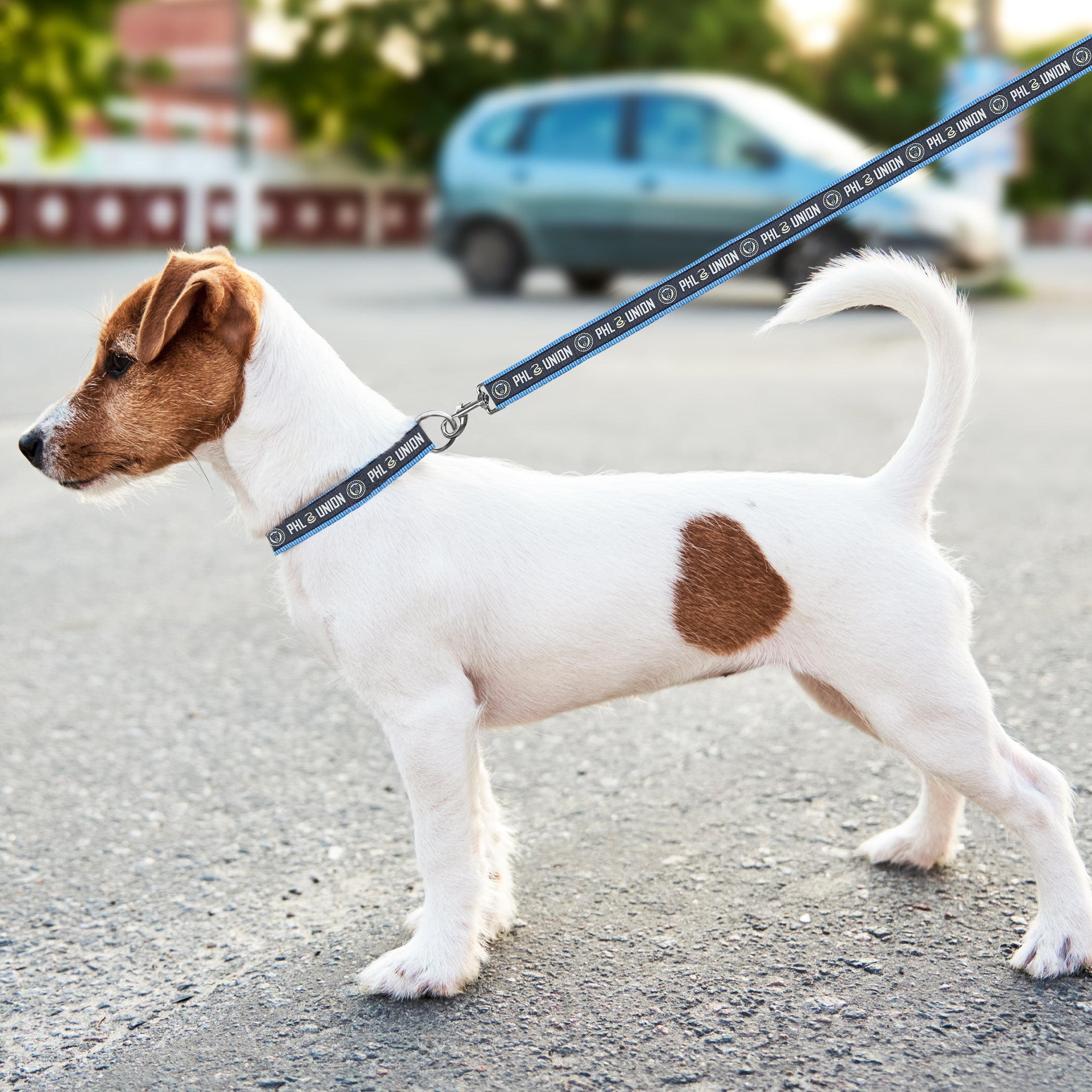 Philadelphia Union Satin Ribbon Leash