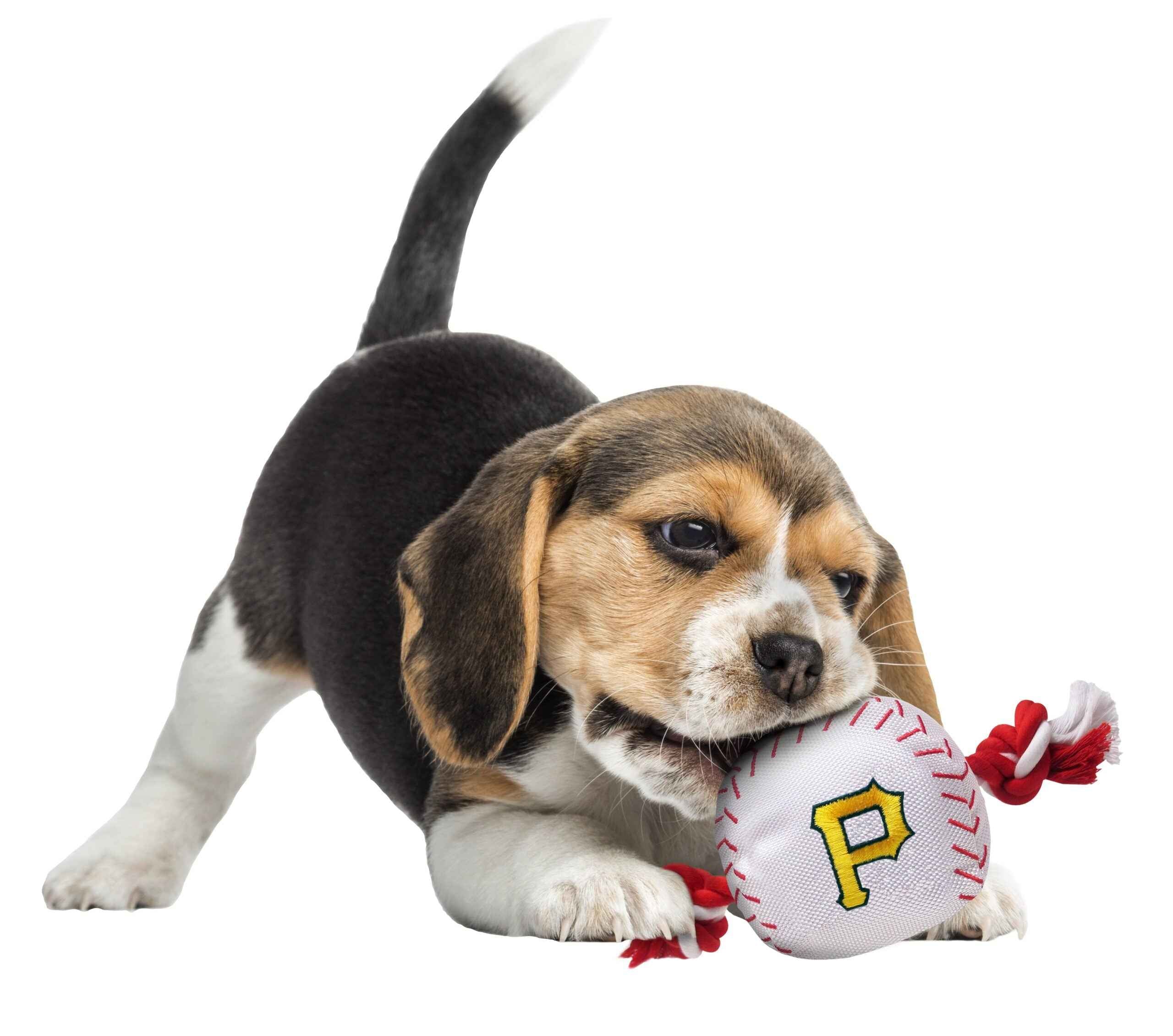 Pittsburgh Pirates Nylon Baseball Rope Toy