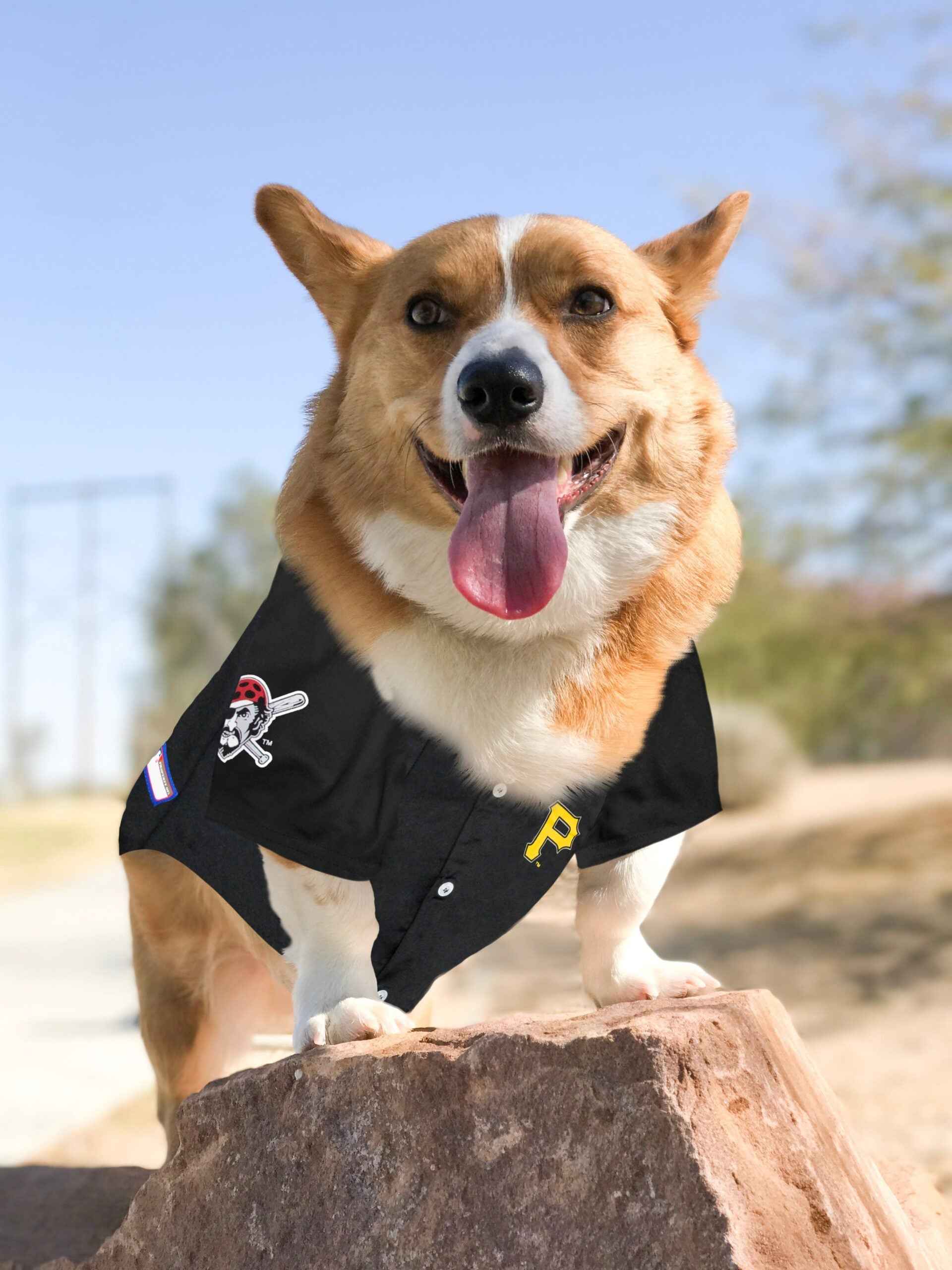 Pittsburgh Pirates Pet Jersey