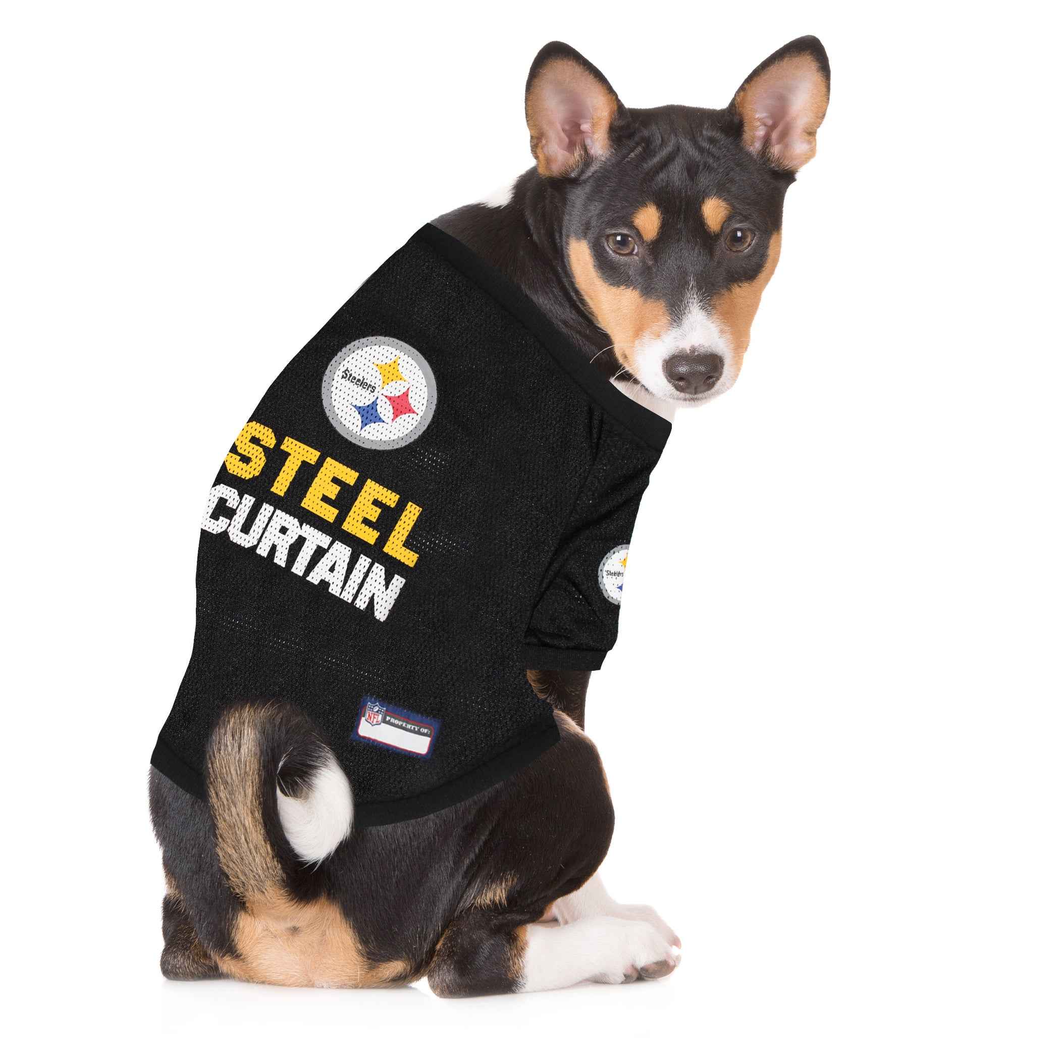 Pittsburgh Steelers Raglan Jersey