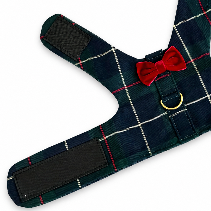 Heads or Tails Pup Green Plaid Dog Harness