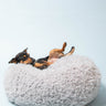 POD DOG BED