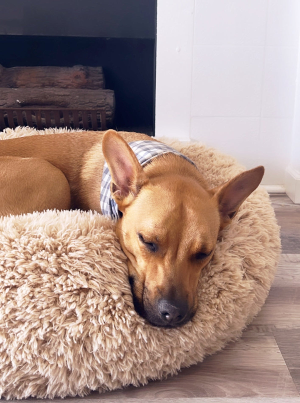POD DOG BED - HT Animal Supply