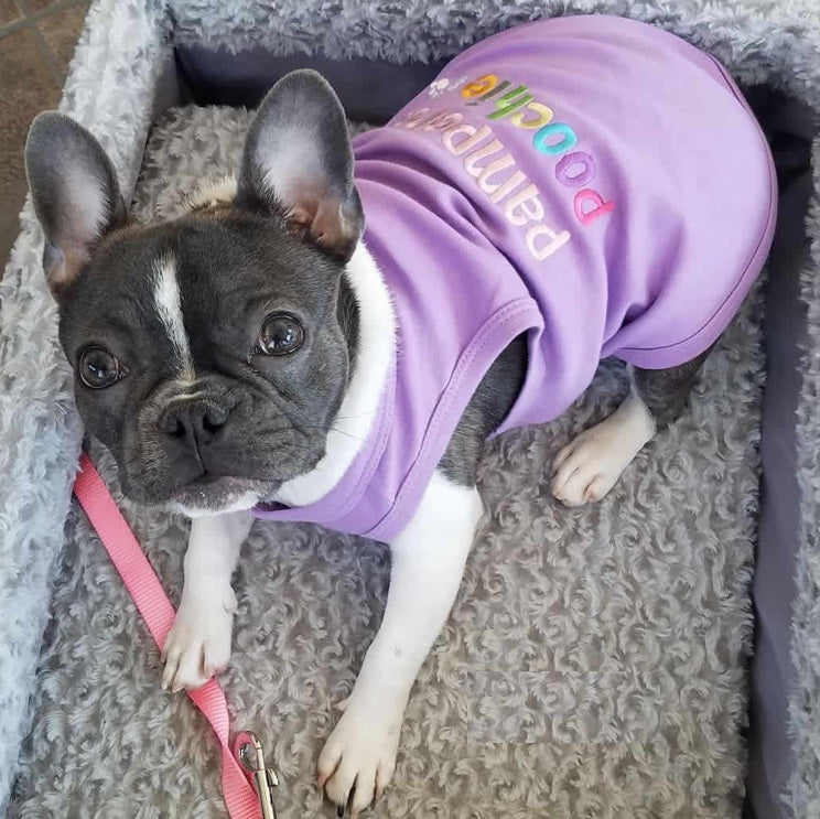 Parisian Pet Pampered Poochie Luxury Dog T-Shirt-Purple