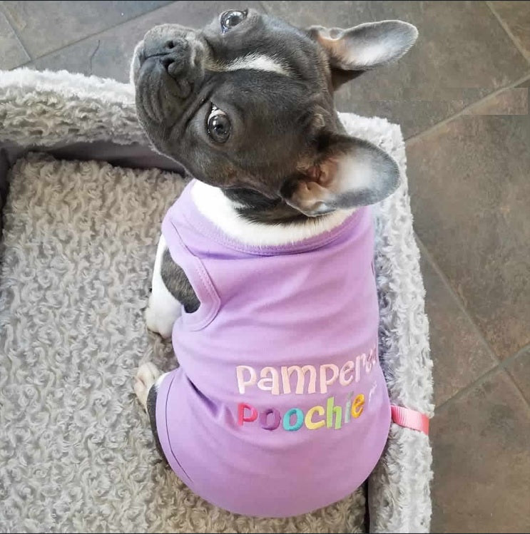 Parisian Pet Pampered Poochie Luxury Dog T-Shirt-Purple
