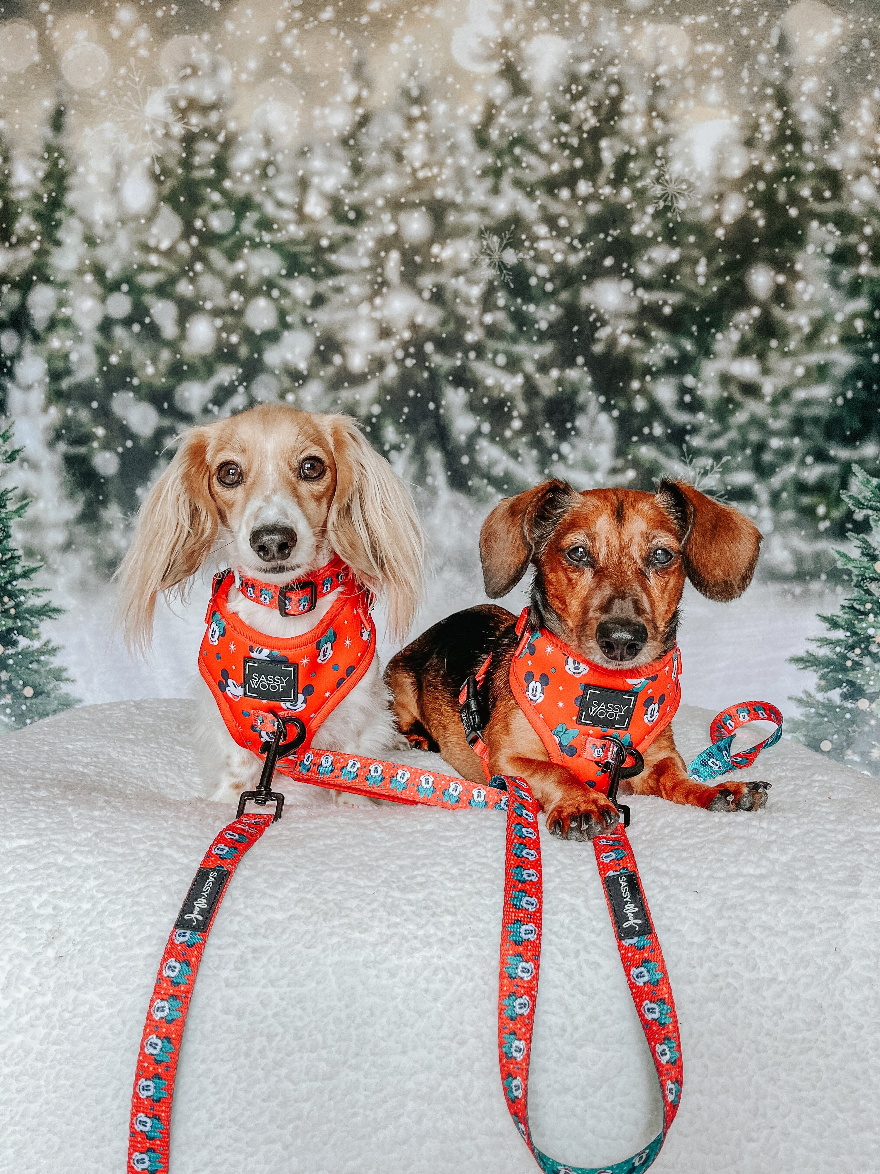 Dog Collar - Disney Holiday Collection