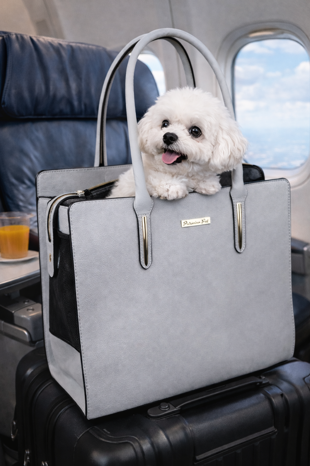 Parisian Pet Mallorca Carrier