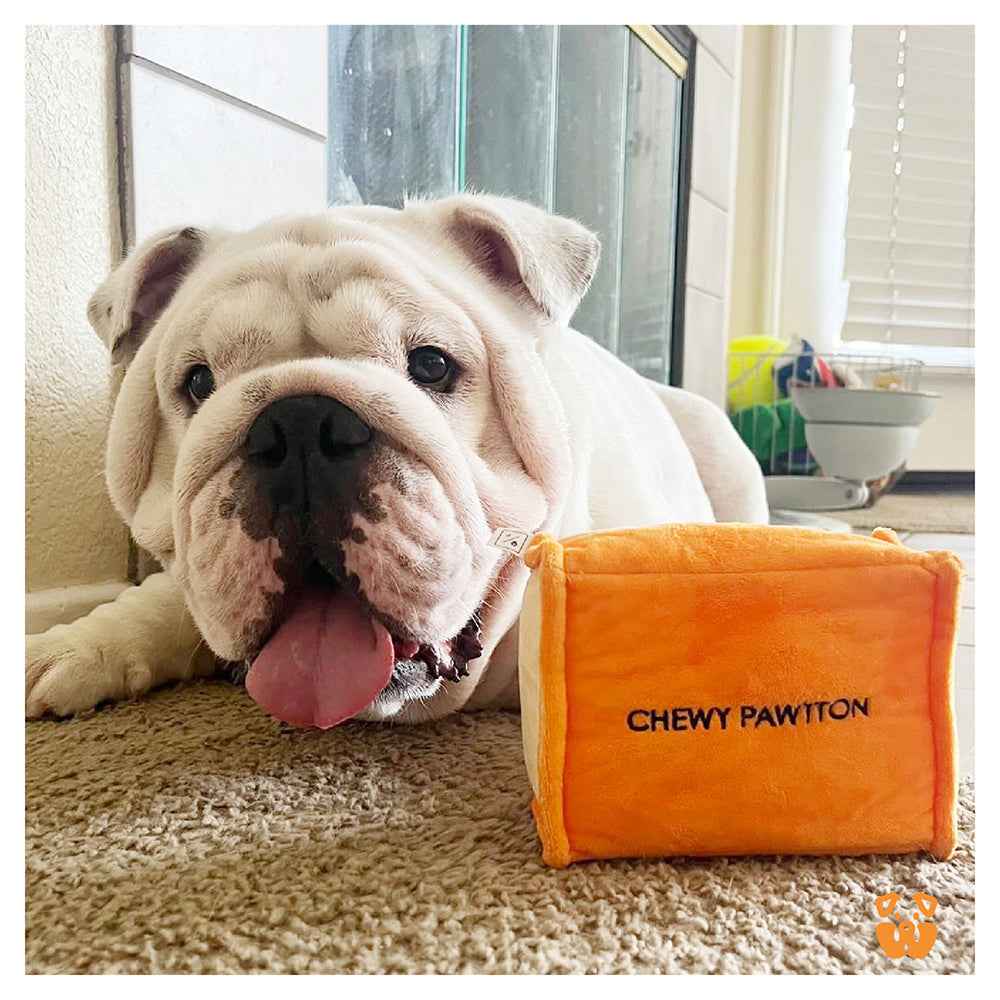 Pawty Chewy Pawtton Designer Plush Dog Toy