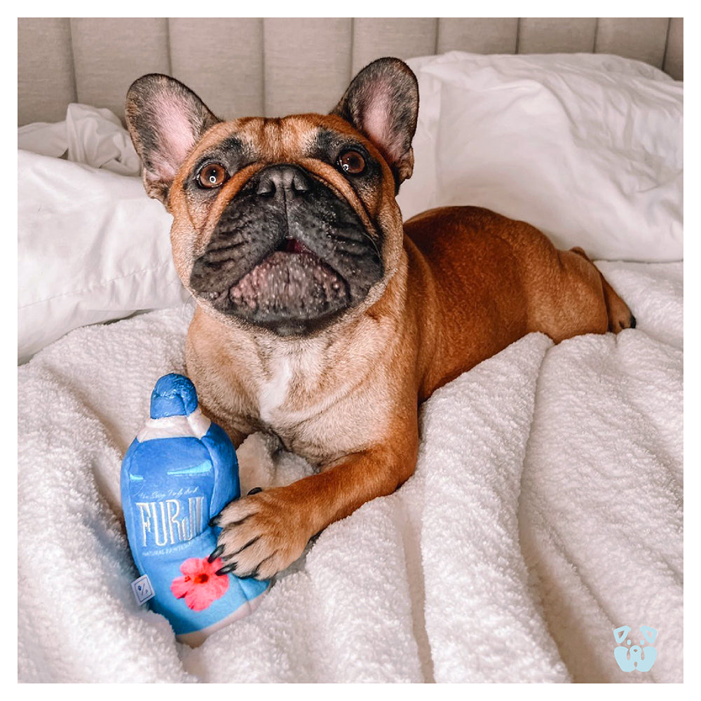 Pawty Furji Water Bottle Plush Dog Toy