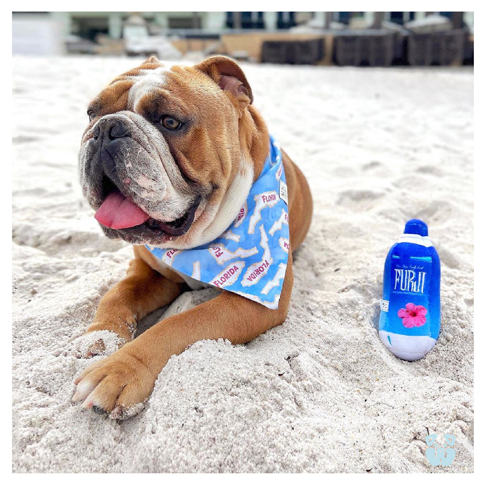 Pawty Furji Water Bottle Plush Dog Toy