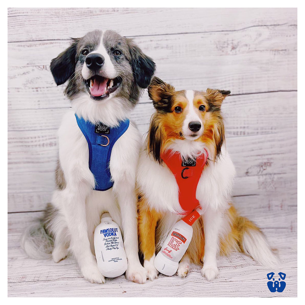 Pawty Pawsolut Vodka Bottle Plush Squeaky Dog Toy
