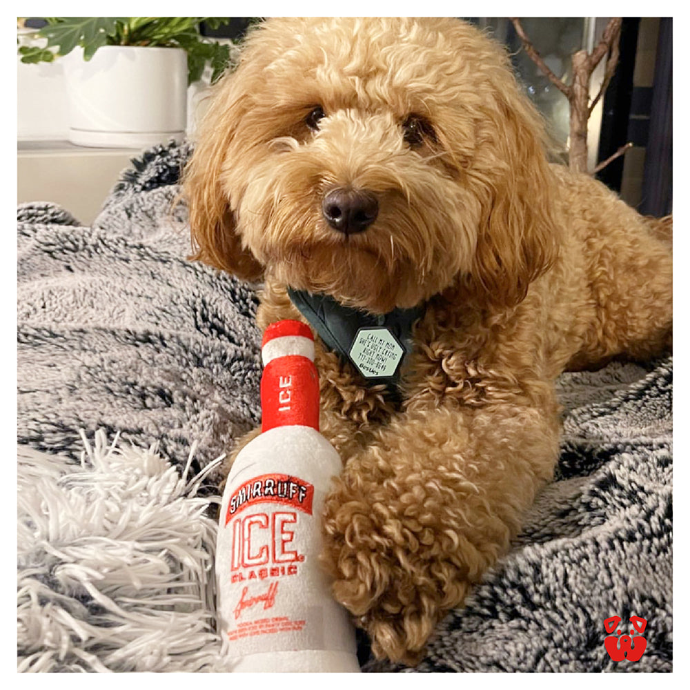 Pawty Smirruff Ice Bottle Squeaky Dog Toy