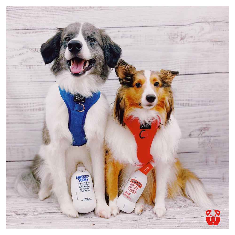 Pawty Smirruff Ice Bottle Squeaky Dog Toy