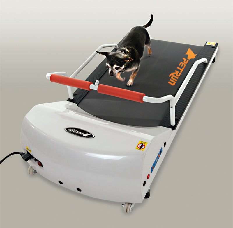 Petrun 26" Treadmill