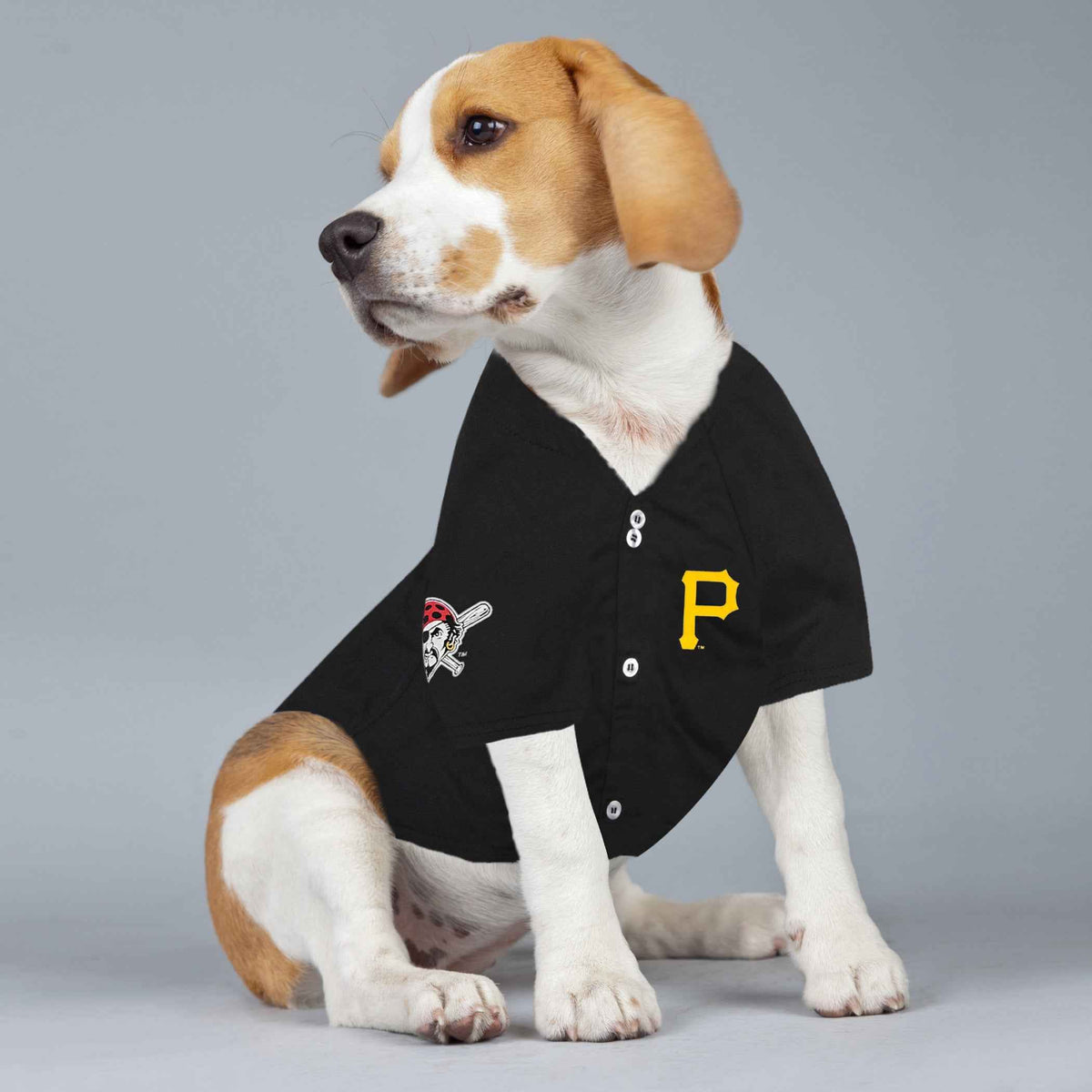 MLB Pittsburgh Pirates Paul Skenes Mesh Pet Jersey