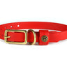 Sporting Puppy Collar - Red