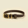Sporting Puppy Collar - Leather Brown