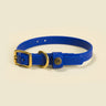 Sporting Puppy Collar - River Blue