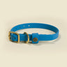 Sporting Puppy Collar - Sky Blue