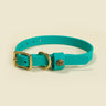 Sporting Puppy Collar - Teal
