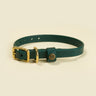 Sporting Puppy Collar - Woodland Green